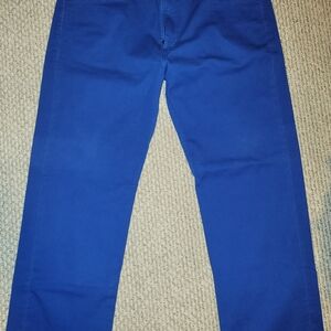 Vibrant Blue Pants